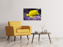 Laden Sie das Bild in den Galerie-Viewer, Leinwandbild Der Zitronen-Doktorfisch