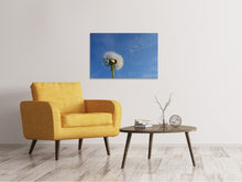 Laden Sie das Bild in den Galerie-Viewer, Leinwandbild Pusteblume - ich wünsch mir was