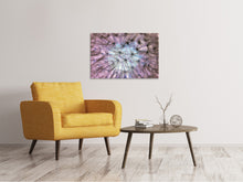 Laden Sie das Bild in den Galerie-Viewer, Leinwandbild Pusteblume im Lichterspiel