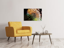 Laden Sie das Bild in den Galerie-Viewer, Leinwandbild Pusteblume im Morgentau