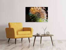 Laden Sie das Bild in den Galerie-Viewer, Leinwandbild Pusteblume im Morgentau