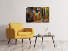 Laden Sie das Bild in den Galerie-Viewer, Leinwandbild Buntes Rino