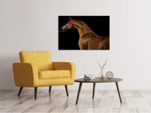 Laden Sie das Bild in den Galerie-Viewer, Leinwandbild Stolzes Pferd