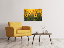 Laden Sie das Bild in den Galerie-Viewer, Leinwandbild Sonnenblumen Feld