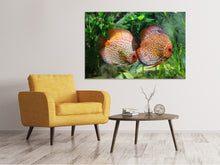Laden Sie das Bild in den Galerie-Viewer, Leinwandbild 2 Fische