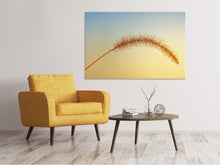 Laden Sie das Bild in den Galerie-Viewer, Leinwandbild Ziergrass in XXL
