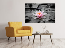 Laden Sie das Bild in den Galerie-Viewer, Leinwandbild Die Kunst der Seerose
