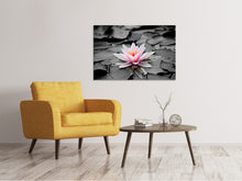 Laden Sie das Bild in den Galerie-Viewer, Leinwandbild Die Kunst der Seerose