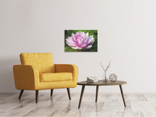 Laden Sie das Bild in den Galerie-Viewer, Leinwandbild Seerose in rosa