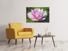 Laden Sie das Bild in den Galerie-Viewer, Leinwandbild Seerose in rosa