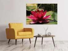 Laden Sie das Bild in den Galerie-Viewer, Leinwandbild Seerose in rot
