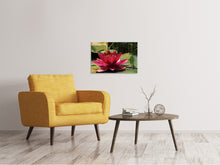 Laden Sie das Bild in den Galerie-Viewer, Leinwandbild Seerose in rot