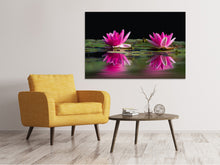 Laden Sie das Bild in den Galerie-Viewer, Leinwandbild Seerosen Duo in pink