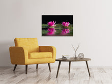 Laden Sie das Bild in den Galerie-Viewer, Leinwandbild Seerosen Duo in pink