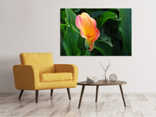 Laden Sie das Bild in den Galerie-Viewer, Leinwandbild Wilde Calla