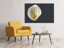 Laden Sie das Bild in den Galerie-Viewer, Leinwandbild Stolze Calla
