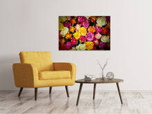 Laden Sie das Bild in den Galerie-Viewer, Leinwandbild Viele bunte Rosenblüten
