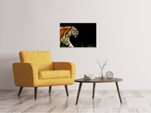 Laden Sie das Bild in den Galerie-Viewer, Leinwandbild Imposanter Tiger