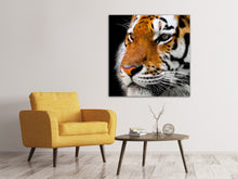 Laden Sie das Bild in den Galerie-Viewer, Leinwandbild Close up Tiger Kopf