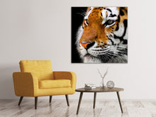 Laden Sie das Bild in den Galerie-Viewer, Leinwandbild Close up Tiger Kopf