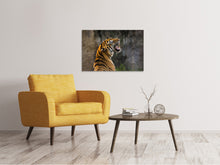 Laden Sie das Bild in den Galerie-Viewer, Leinwandbild Achtung Tiger