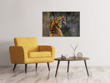 Laden Sie das Bild in den Galerie-Viewer, Leinwandbild Achtung Tiger