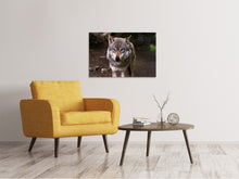 Laden Sie das Bild in den Galerie-Viewer, Leinwandbild Der böse Wolf