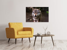 Laden Sie das Bild in den Galerie-Viewer, Leinwandbild Der böse Wolf