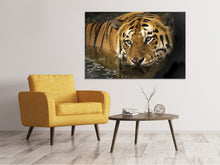 Laden Sie das Bild in den Galerie-Viewer, Leinwandbild Tiger im Wasser