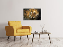 Laden Sie das Bild in den Galerie-Viewer, Leinwandbild Tiger im Wasser