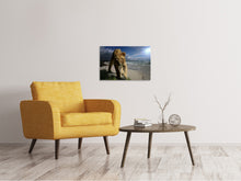 Laden Sie das Bild in den Galerie-Viewer, Leinwandbild Eine Löwin am Strand