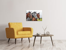 Laden Sie das Bild in den Galerie-Viewer, Leinwandbild Das Pferde Trio