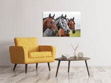 Laden Sie das Bild in den Galerie-Viewer, Leinwandbild Das Pferde Trio