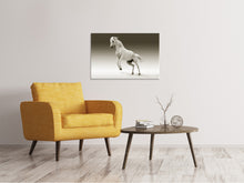 Laden Sie das Bild in den Galerie-Viewer, Leinwandbild Die stolze Stute