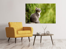 Laden Sie das Bild in den Galerie-Viewer, Leinwandbild Wildkatze