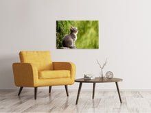 Laden Sie das Bild in den Galerie-Viewer, Leinwandbild Wildkatze