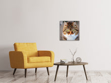 Laden Sie das Bild in den Galerie-Viewer, Leinwandbild Tiger Katze