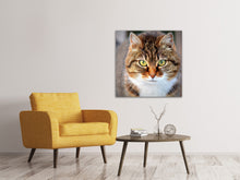 Laden Sie das Bild in den Galerie-Viewer, Leinwandbild Tiger Katze