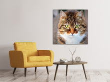 Laden Sie das Bild in den Galerie-Viewer, Leinwandbild Tiger Katze