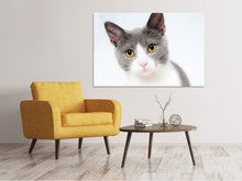 Laden Sie das Bild in den Galerie-Viewer, Leinwandbild Edle Katze