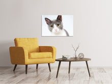 Laden Sie das Bild in den Galerie-Viewer, Leinwandbild Edle Katze