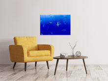 Laden Sie das Bild in den Galerie-Viewer, Leinwandbild Im Haifischbecken