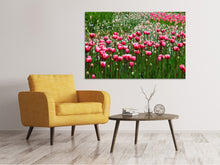 Laden Sie das Bild in den Galerie-Viewer, Leinwandbild Wildes Tulpenfeld