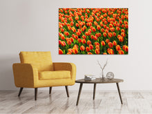 Laden Sie das Bild in den Galerie-Viewer, Leinwandbild Tulpenfeld in orange