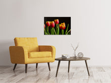 Laden Sie das Bild in den Galerie-Viewer, Leinwandbild Farbenfrohe Tulpen
