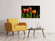 Laden Sie das Bild in den Galerie-Viewer, Leinwandbild Farbenfrohe Tulpen