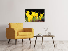 Laden Sie das Bild in den Galerie-Viewer, Leinwandbild Gelbe Tulpen in der Natur