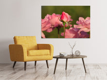 Laden Sie das Bild in den Galerie-Viewer, Leinwandbild Die Rosenknospe