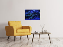 Laden Sie das Bild in den Galerie-Viewer, Leinwandbild Korallenriff in blau