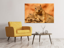 Laden Sie das Bild in den Galerie-Viewer, Leinwandbild Süsses Eichhörnchen
